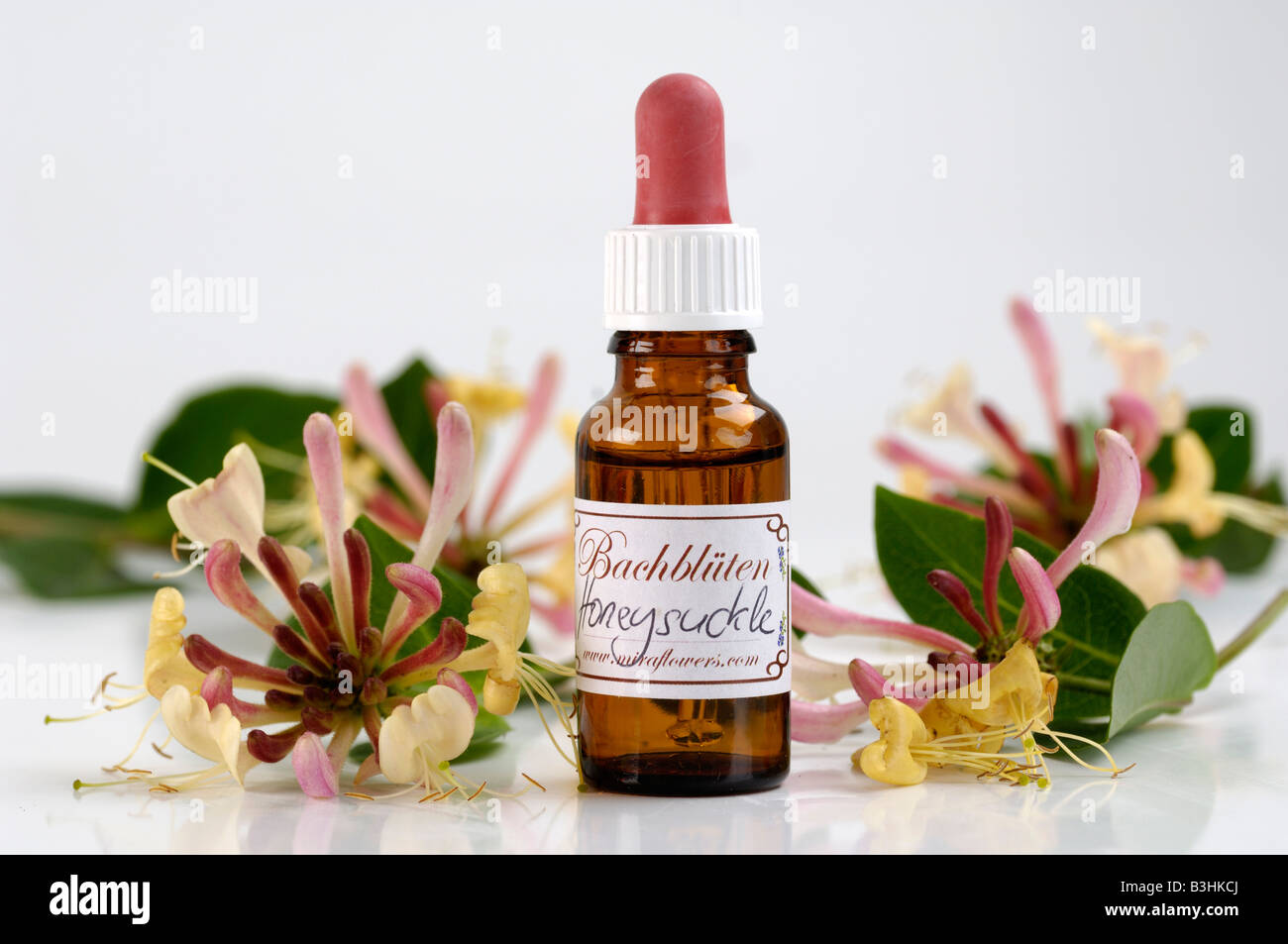 Bach Flower Stock Remedy Stock Photo Alamy