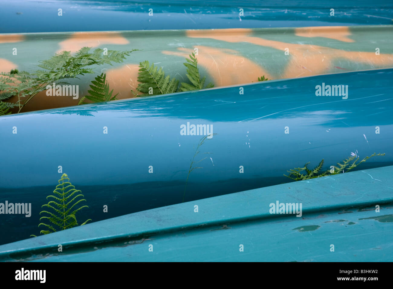 Kingston, New Brunswick, Canada. Canoes and Ferns. A Study in Cyan