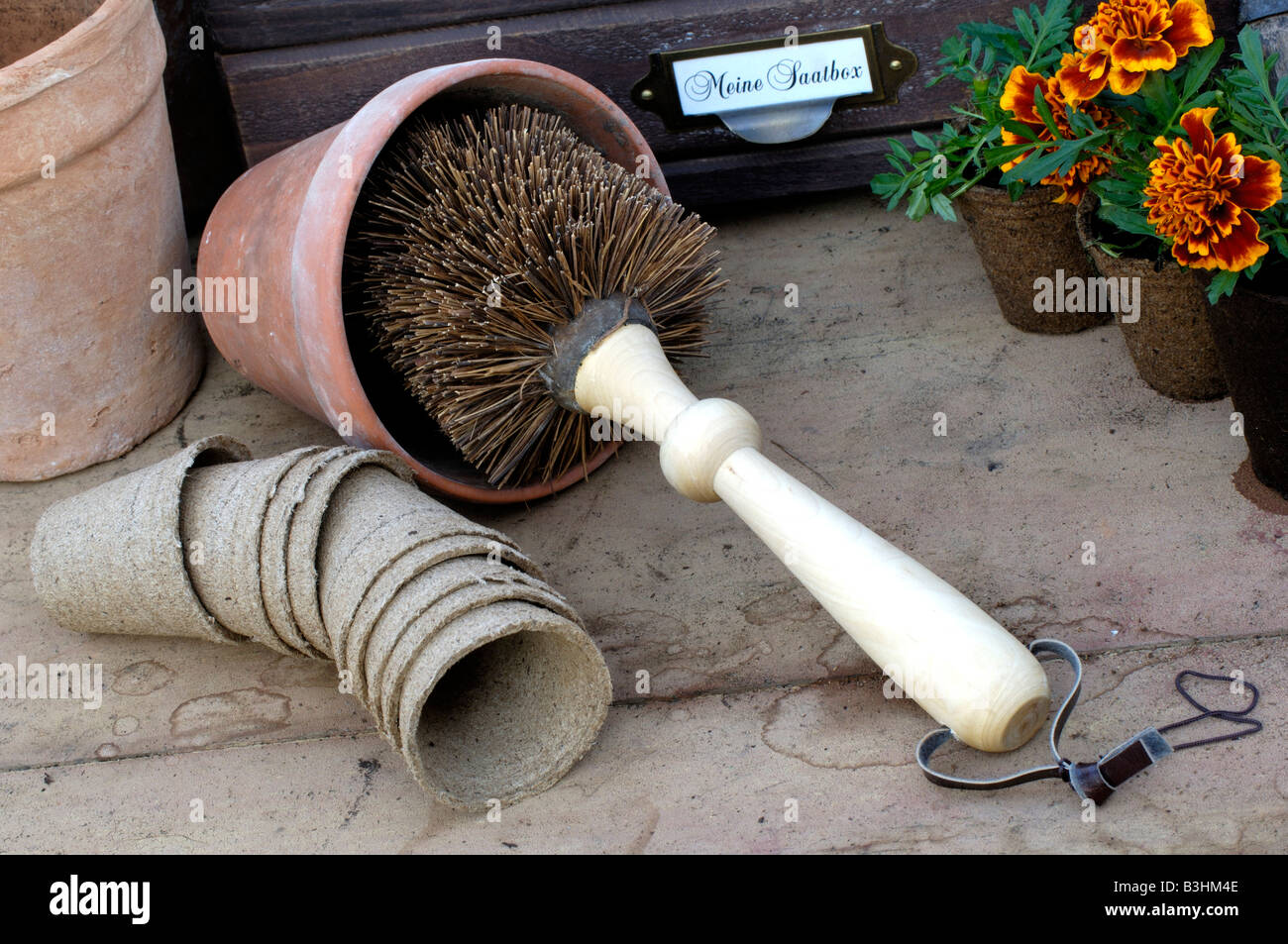 seeding pots cleaning of a clay pot Stock Photo Alamy