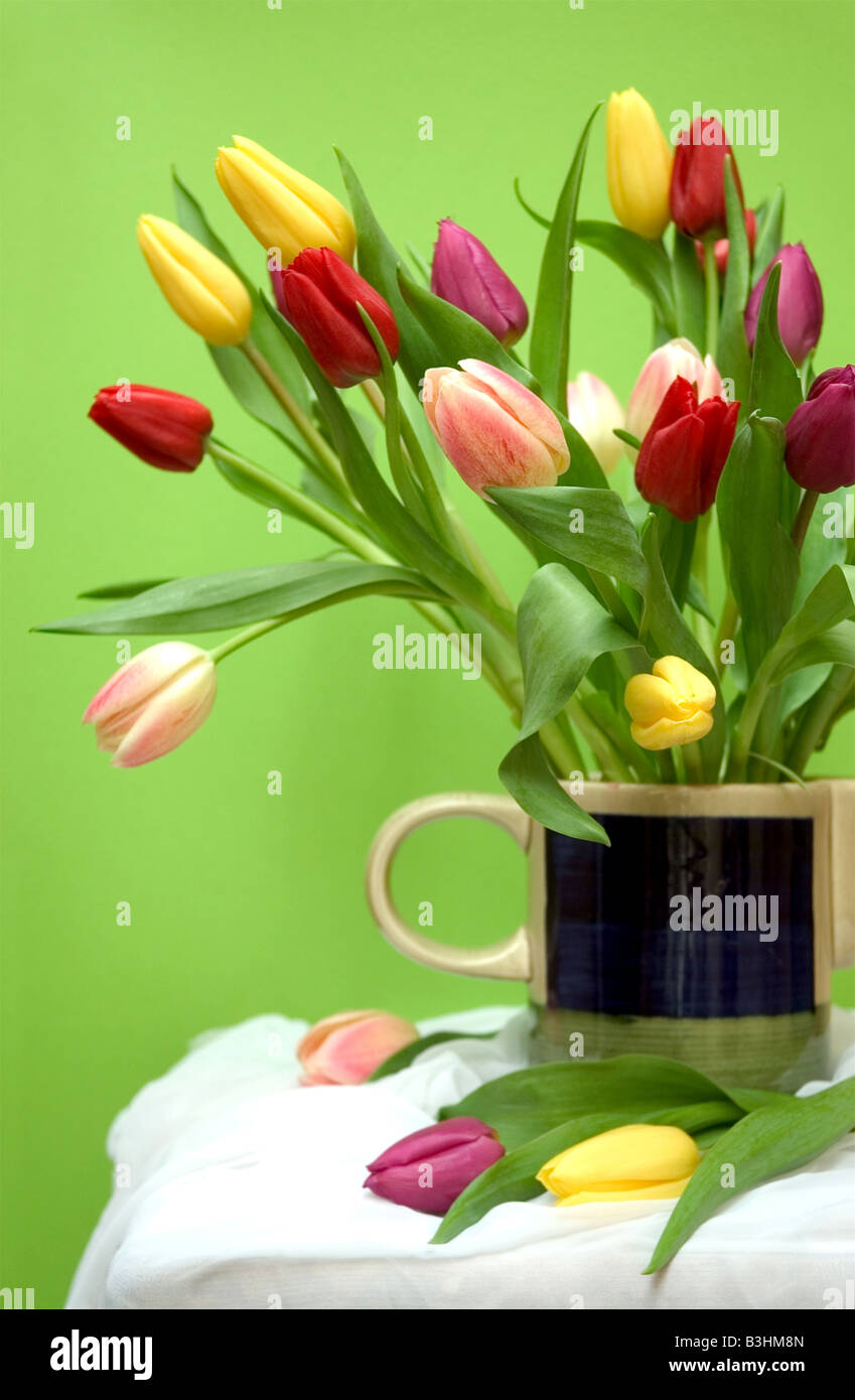 bouquet of tulips Stock Photo - Alamy