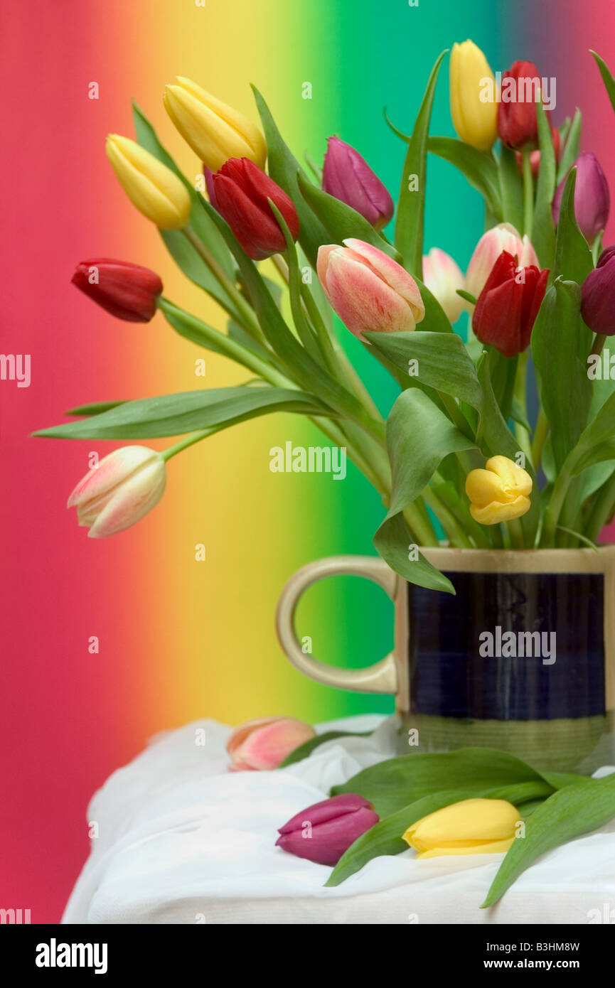 bouquet of tulips Stock Photo - Alamy