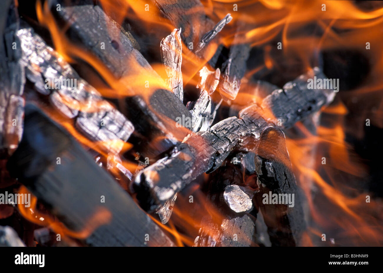 Fire, burning wood Stock Photo Alamy