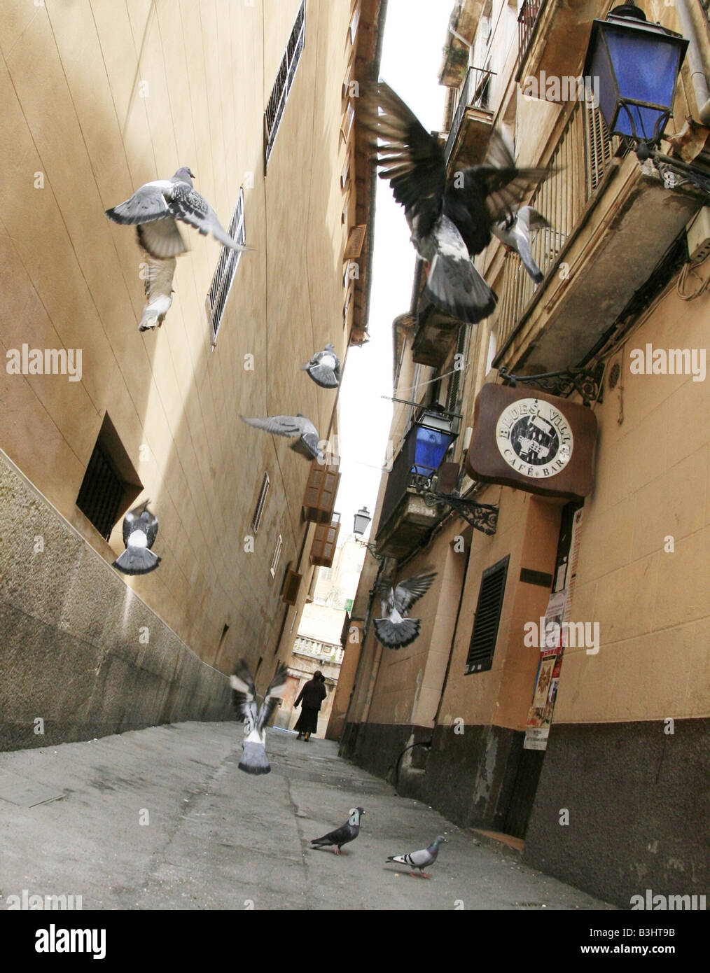 doves leaking out in a narrow alley in Palma de Mallorca Stock Photo