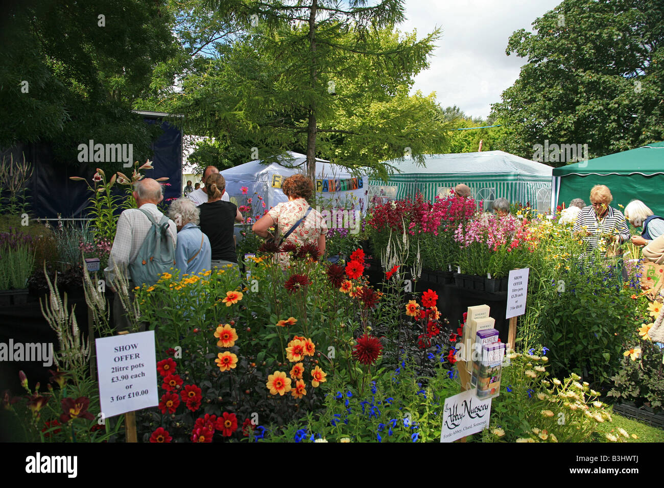 Plant stall at the Taunton Flower Show, Somerset, England, UK Stock