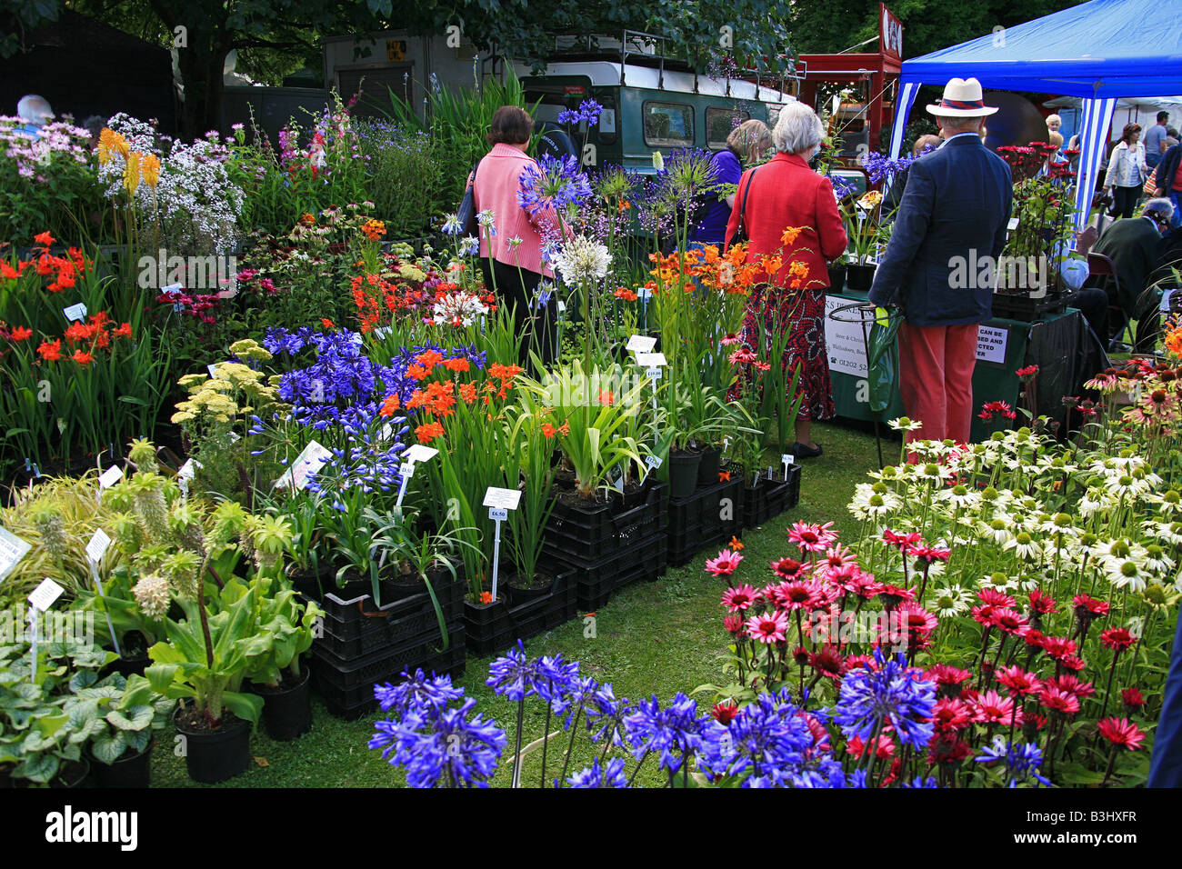 Plant stall at the Taunton Flower Show, Somerset, England, UK Stock