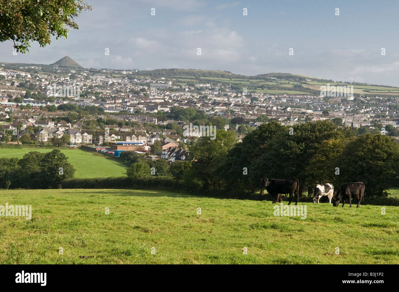 A view of St Austell, Cornwall Stock Photo - Alamy