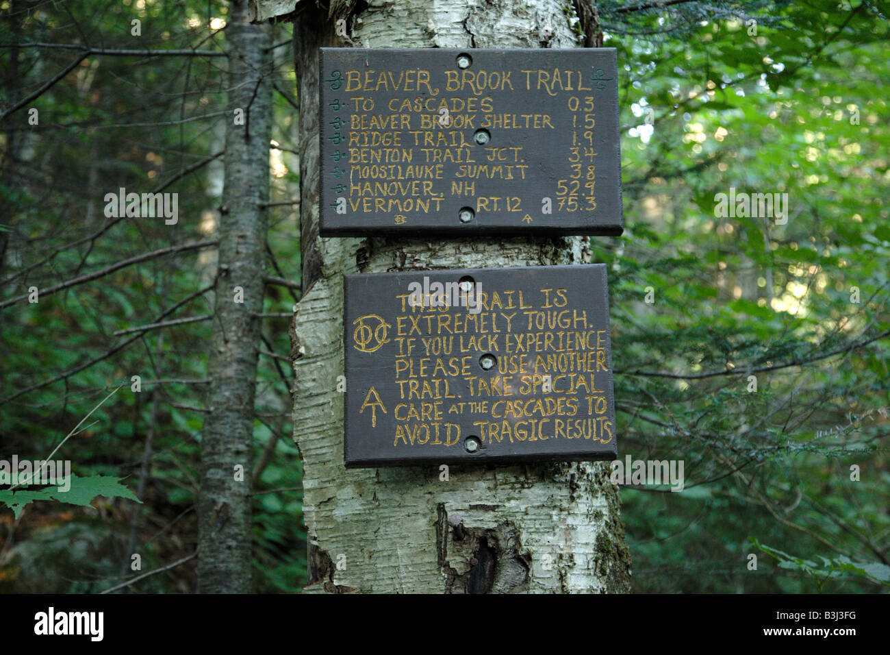 Appalachian Trail Beaver Brook Trail during the summer months Located