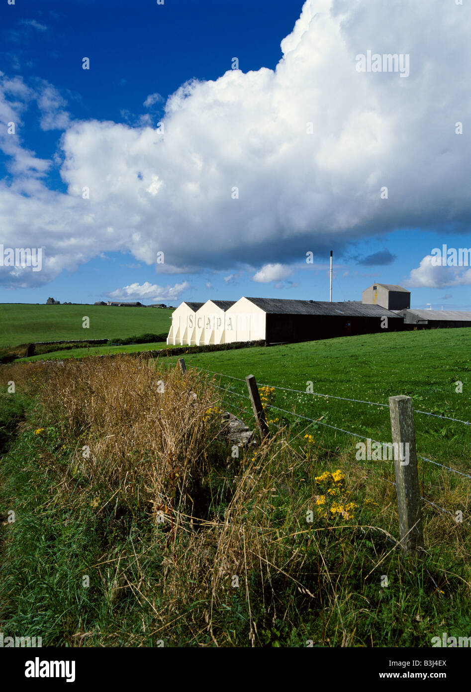 dh Allied Distillers SCAPA ORKNEY Fence fields Lingro farm  Distillery whisky scottish countryside scotland scotch whiskey Stock Photo