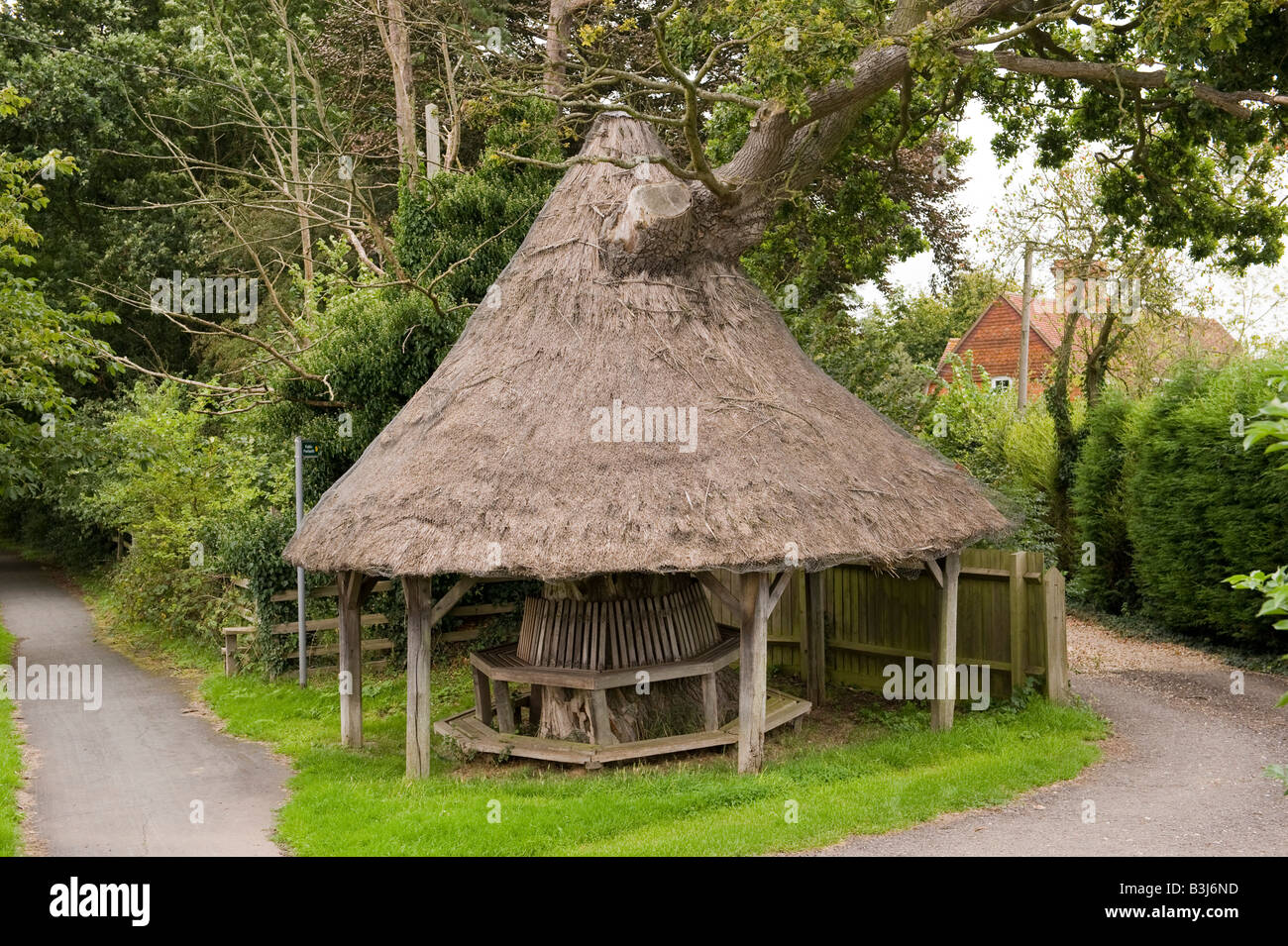 The Mushroom Tree, East Claydon and Botolph Claydon, Buckinghamshire, UK. A thatched shelter built around a tree trunk Stock Photo