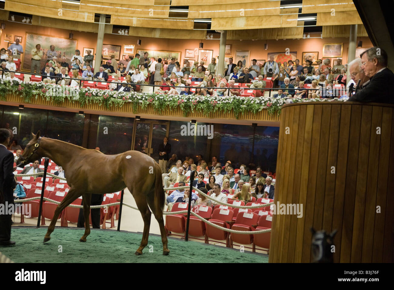 Inside the pavilion at annual Fasig Tipton thoroughbred horse auction