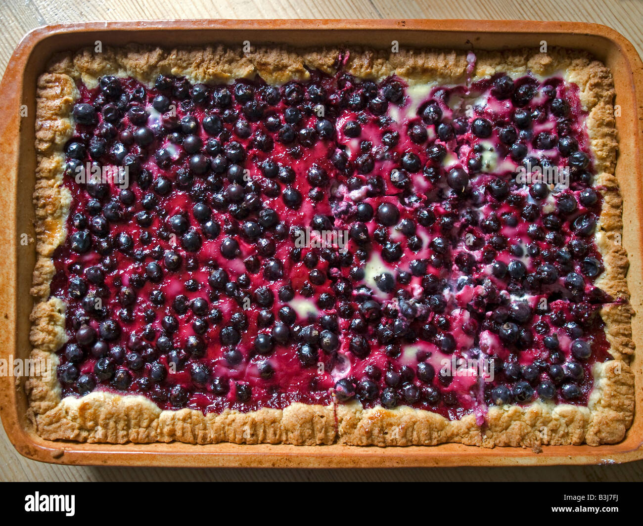 home made cake with black currant berries in casserole dish Stock Photo