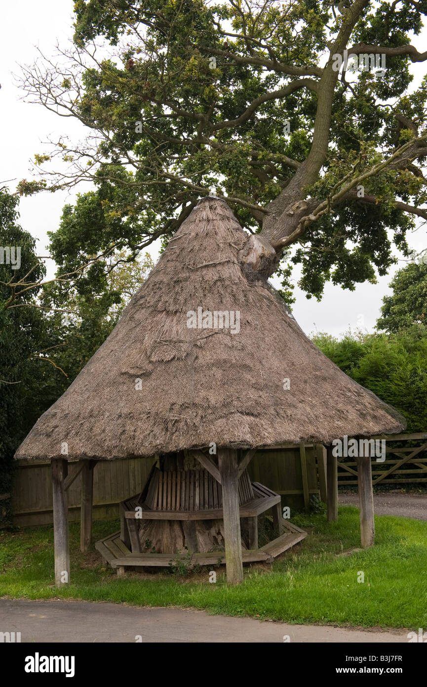The Mushroom Tree, East Claydon and Botolph Claydon, Buckinghamshire, UK. A thatched shelter built around a tree trunk Stock Photo