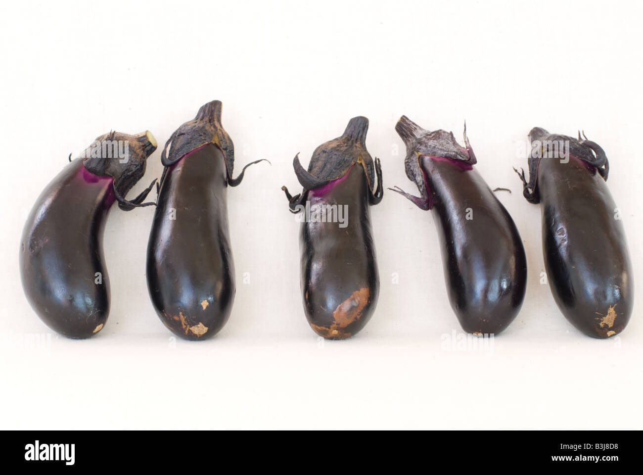 5 organic Japanese aubergine on a white background. These tamagogata
