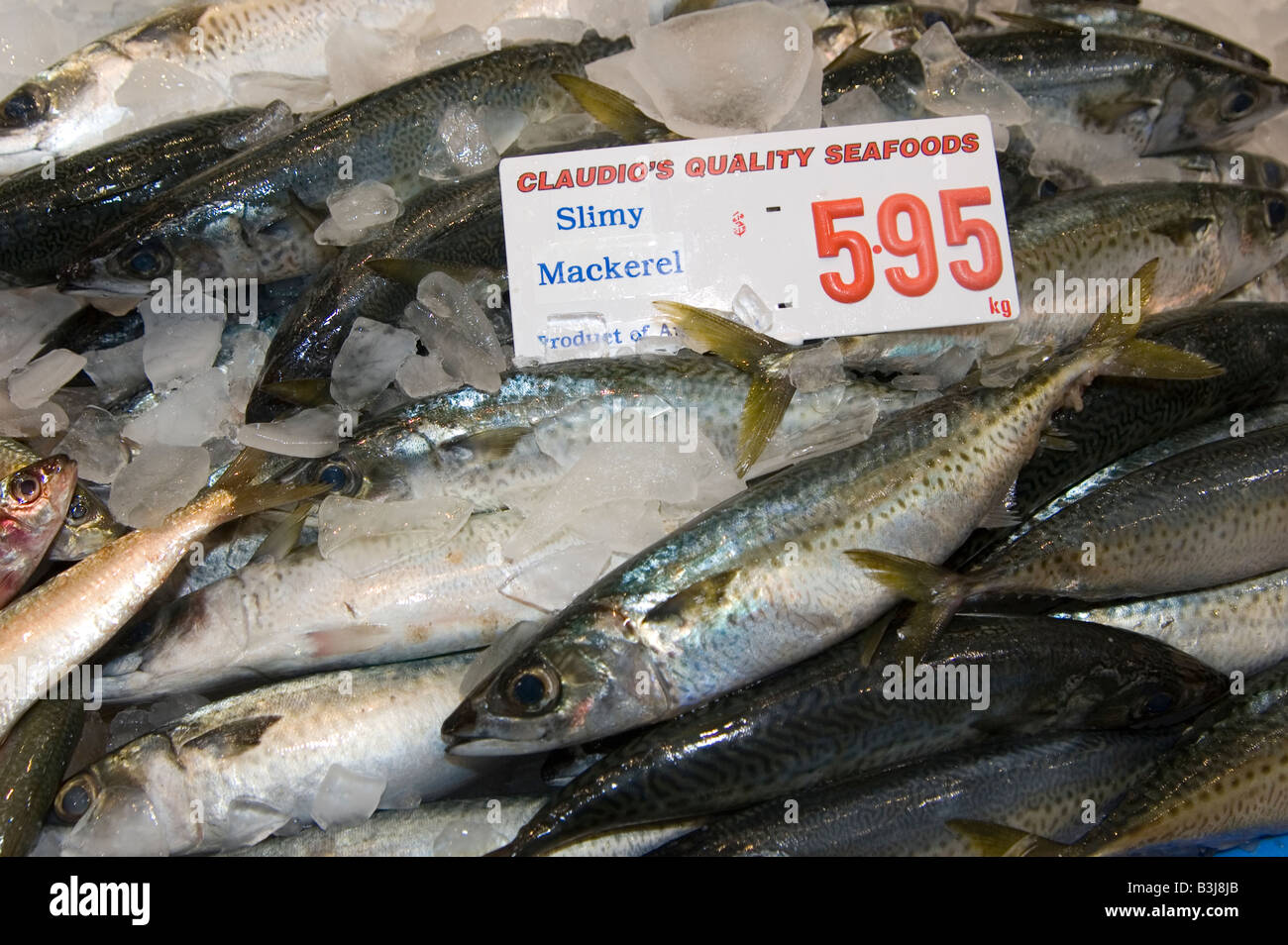 Slimy mackerel hires stock photography and images Alamy