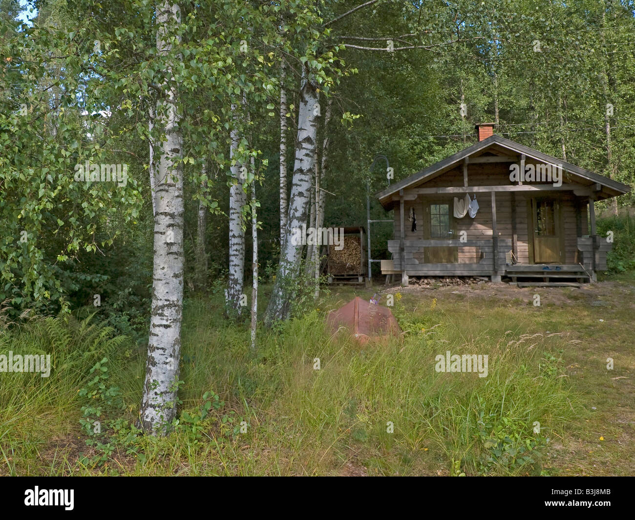 sauna block cabin timber wooden hut hidden between birch trees on lakefront in Finland Stock Photo