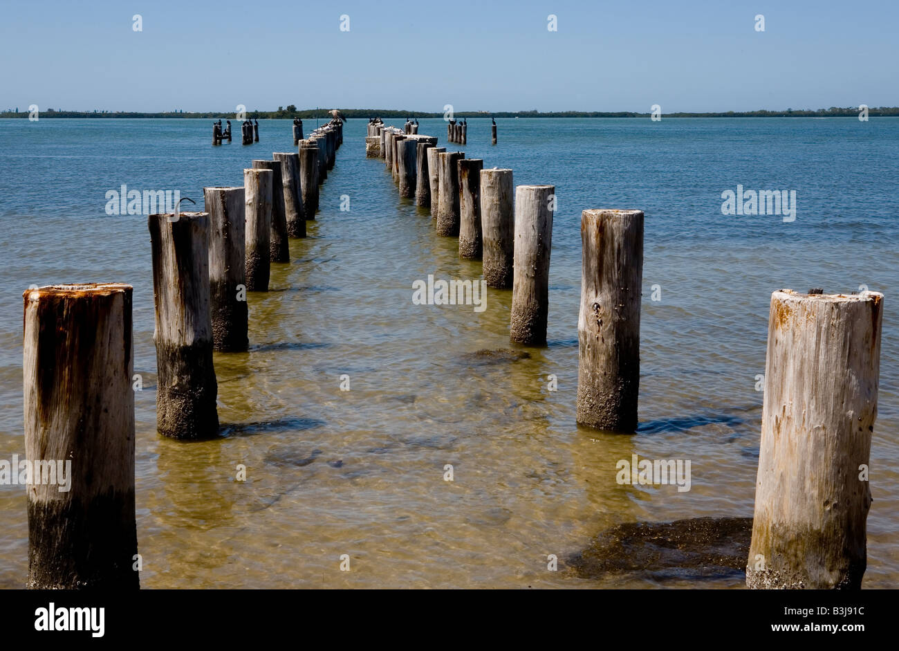 Old florida photos hires stock photography and images Alamy