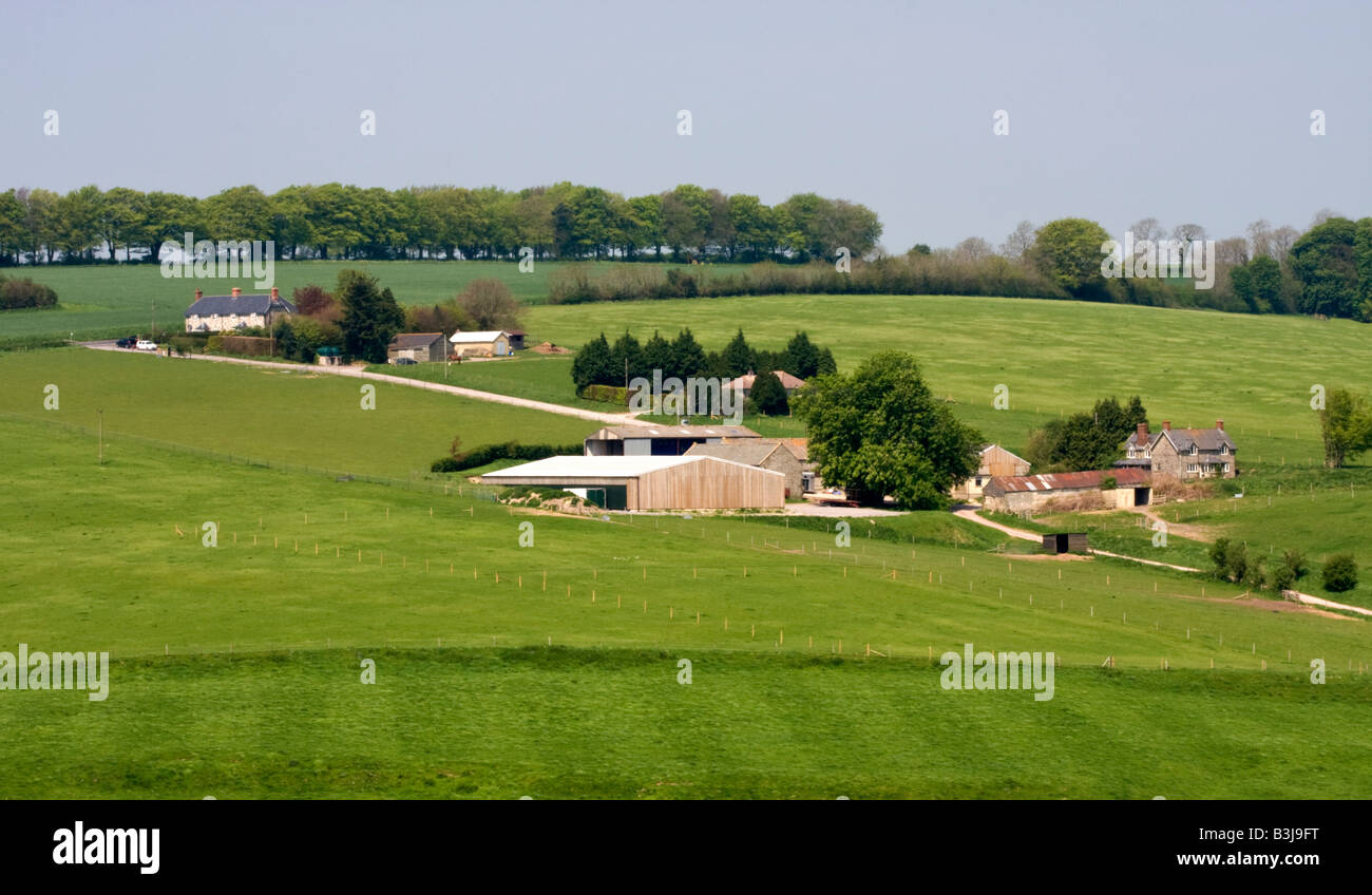 Farm and Fields in Dorset ,UK Stock Photo