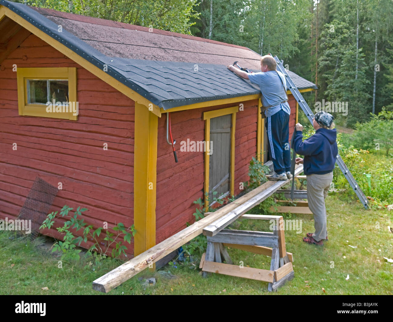 man and woman menting renovating remaking roofing cardboard roofing felt on  roof of an old red block cabin hut in Finland Stock Photo - Alamy