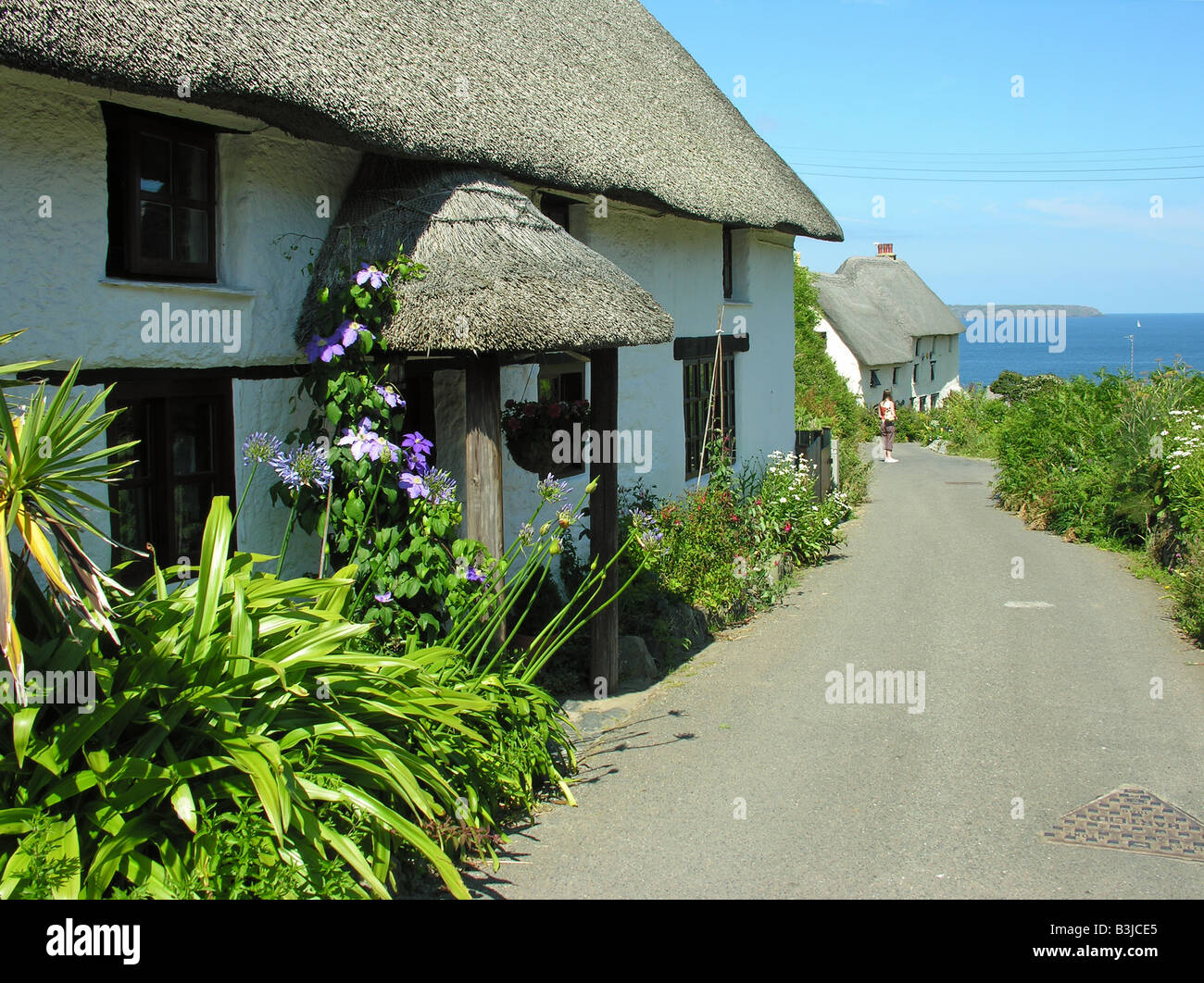 Thatched Cottages At Church Cove Lizard Cornwall Uk Stock Photo
