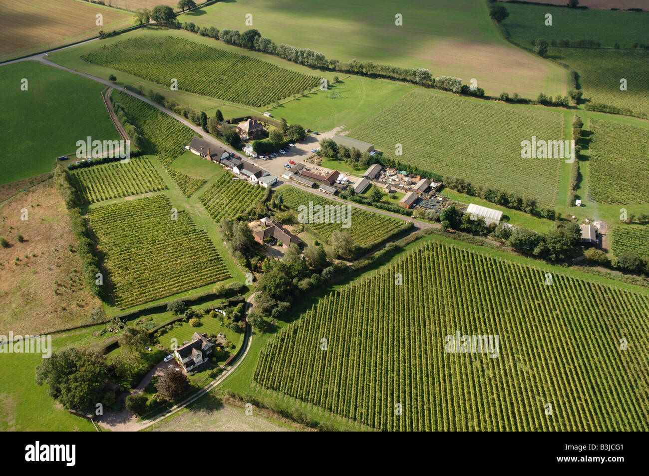 An aerial view of Halfpenny Green Vineyard in Staffordshire England ...