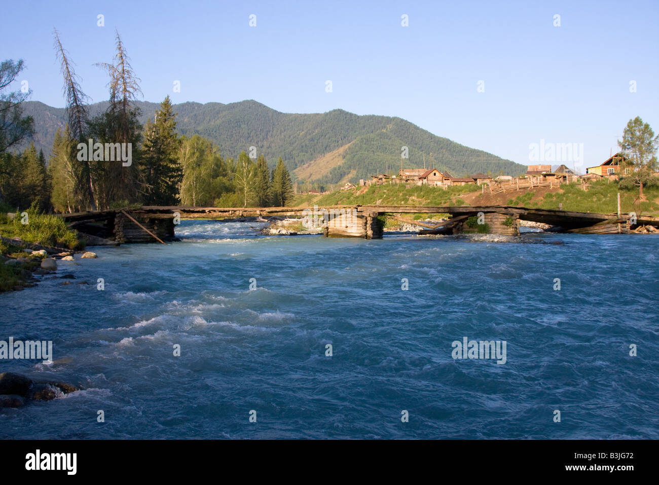 Village and the wooden bridge through a wide rapid mountain river in forest, Altai, Russia Stock Photo