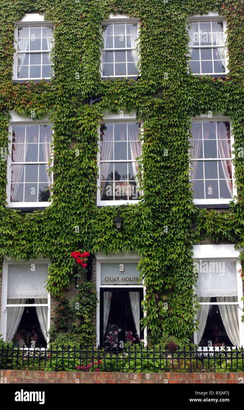 Quay House, Ivy Covered House, Ely, Cambridgeshire Stock Photo - Alamy