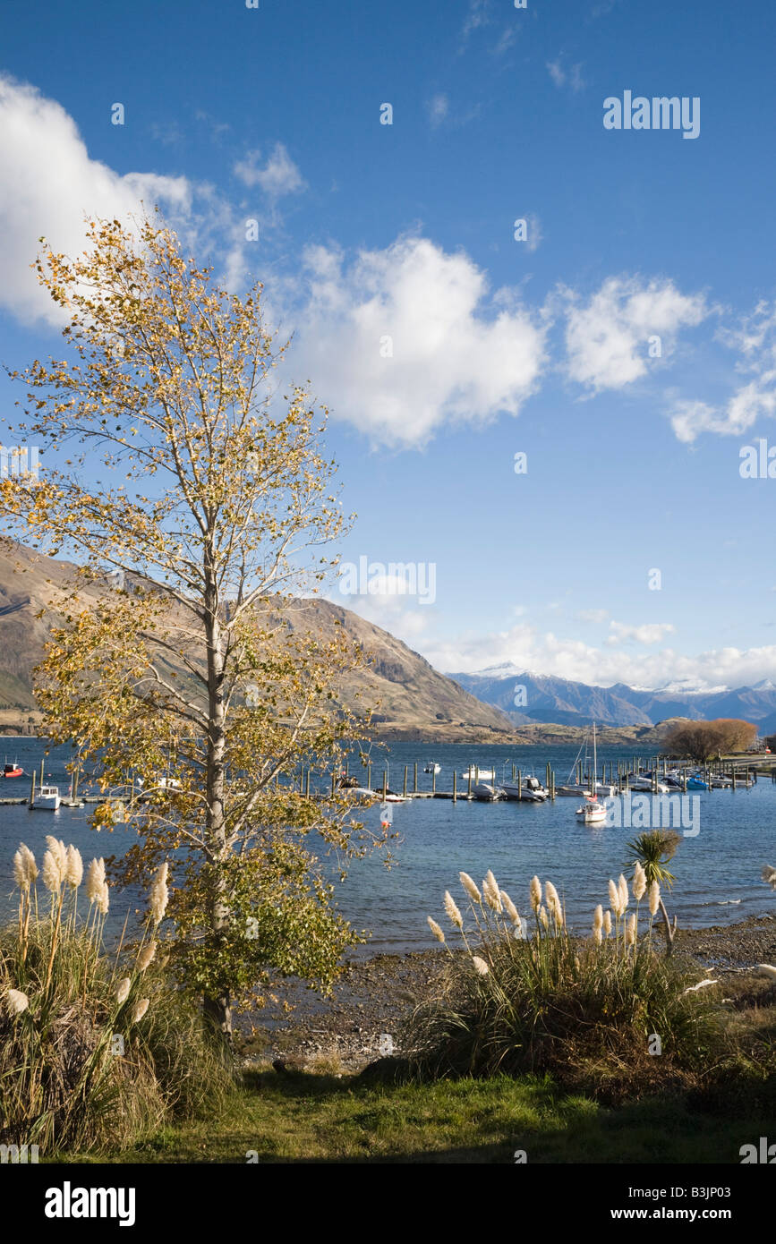Wanaka Otago South Island New Zealand View across marina at southern ...