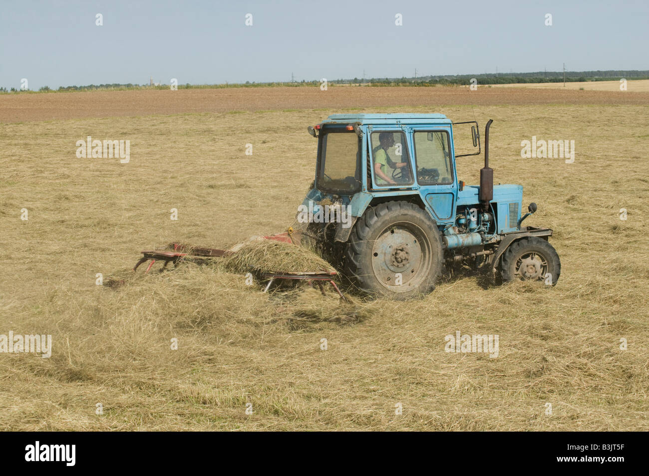 Raking straw on a farm near Panevezys Lithuania Stock Photo