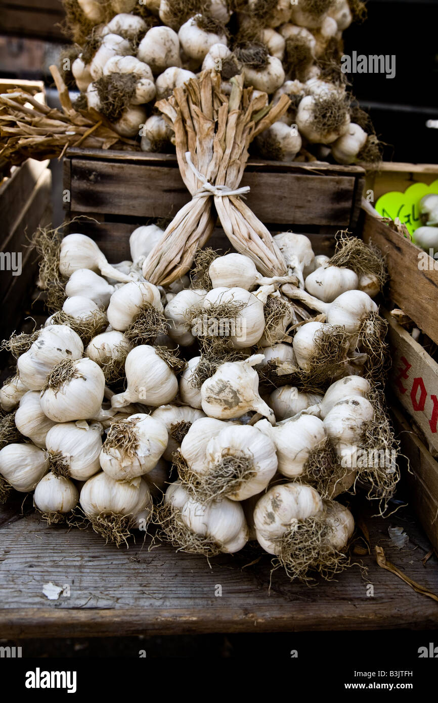 Bunches of Garlic on Sale at a market in Empoli Italy Stock Photo Alamy