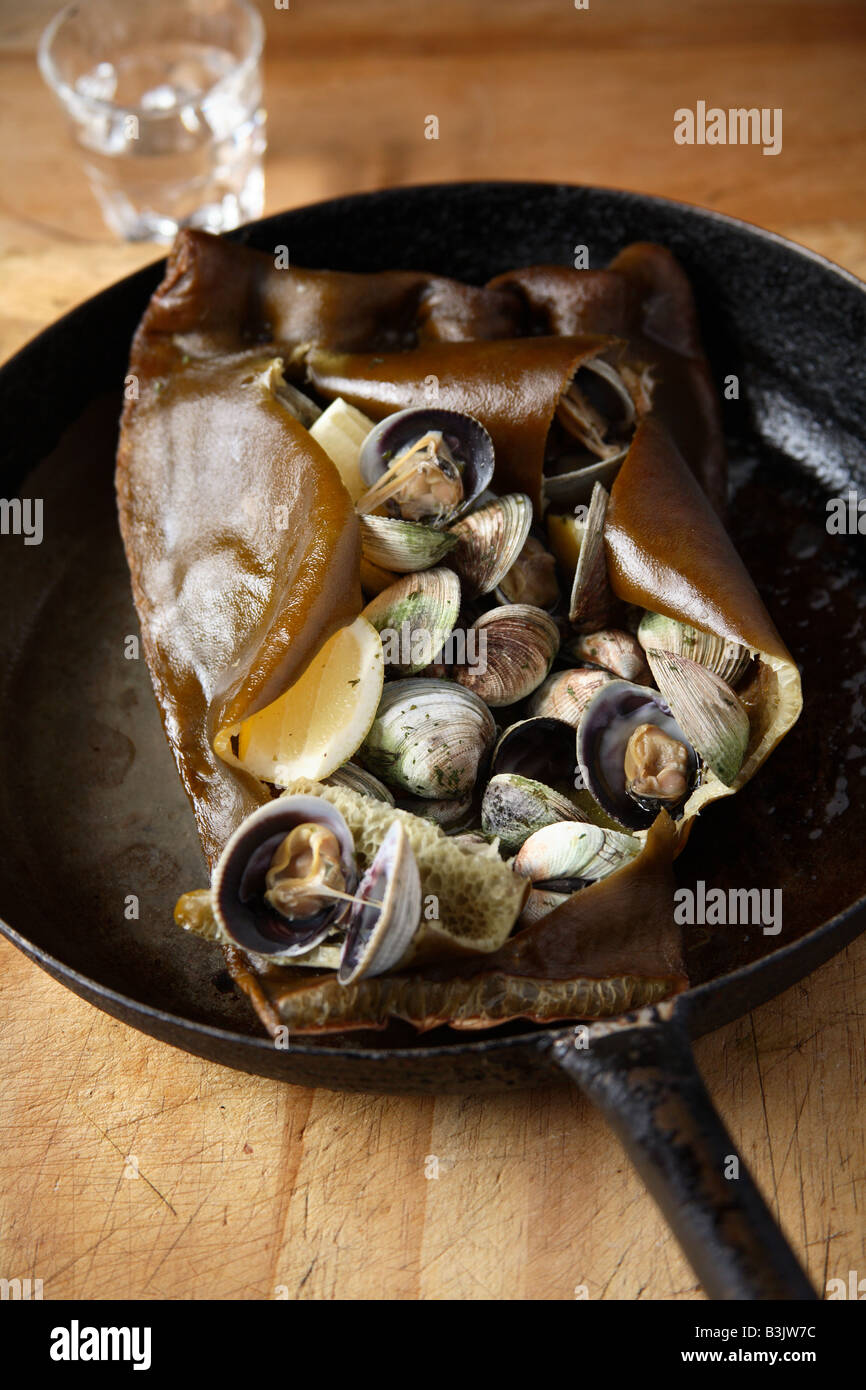 Clams in bull kelp Stock Photo Alamy
