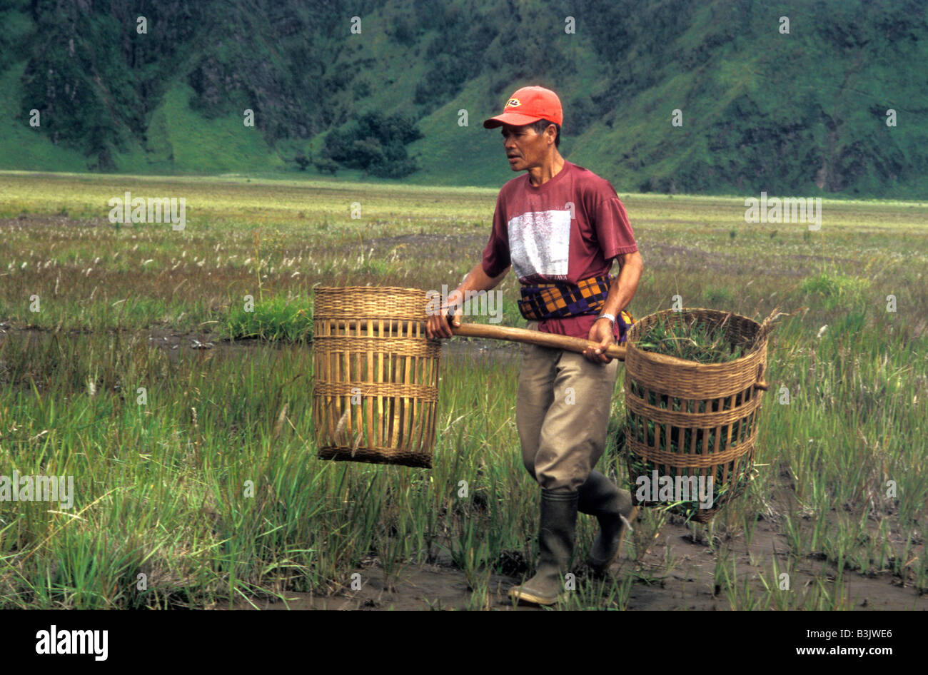 tenggerese farmer near mount bromo java indonesia Stock Photo