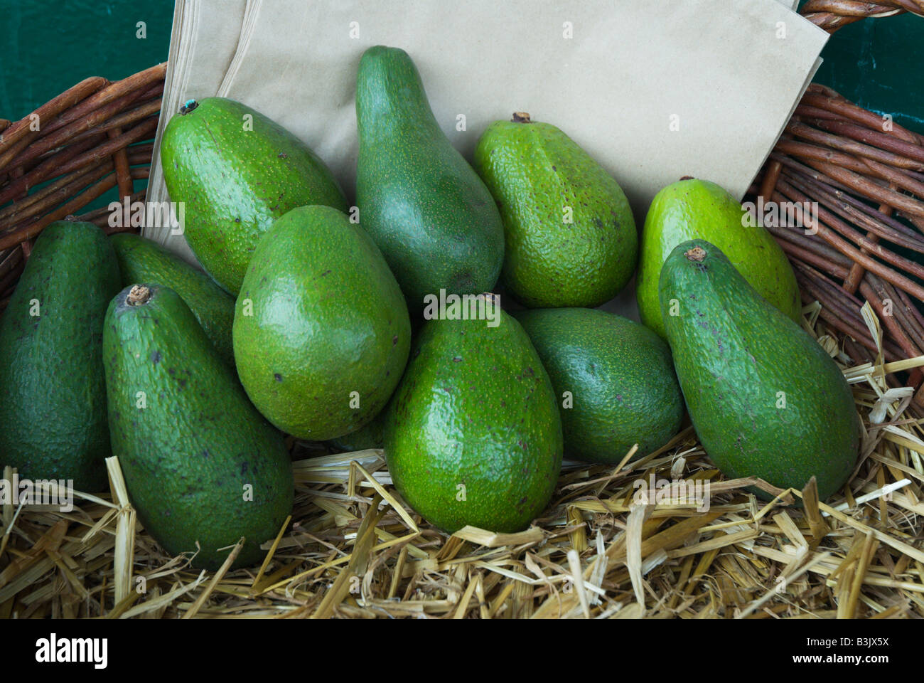 https://c8.alamy.com/comp/B3JX5X/smooth-green-skinned-fuerte-avocados-on-a-bed-of-straw-in-a-woven-B3JX5X.jpg