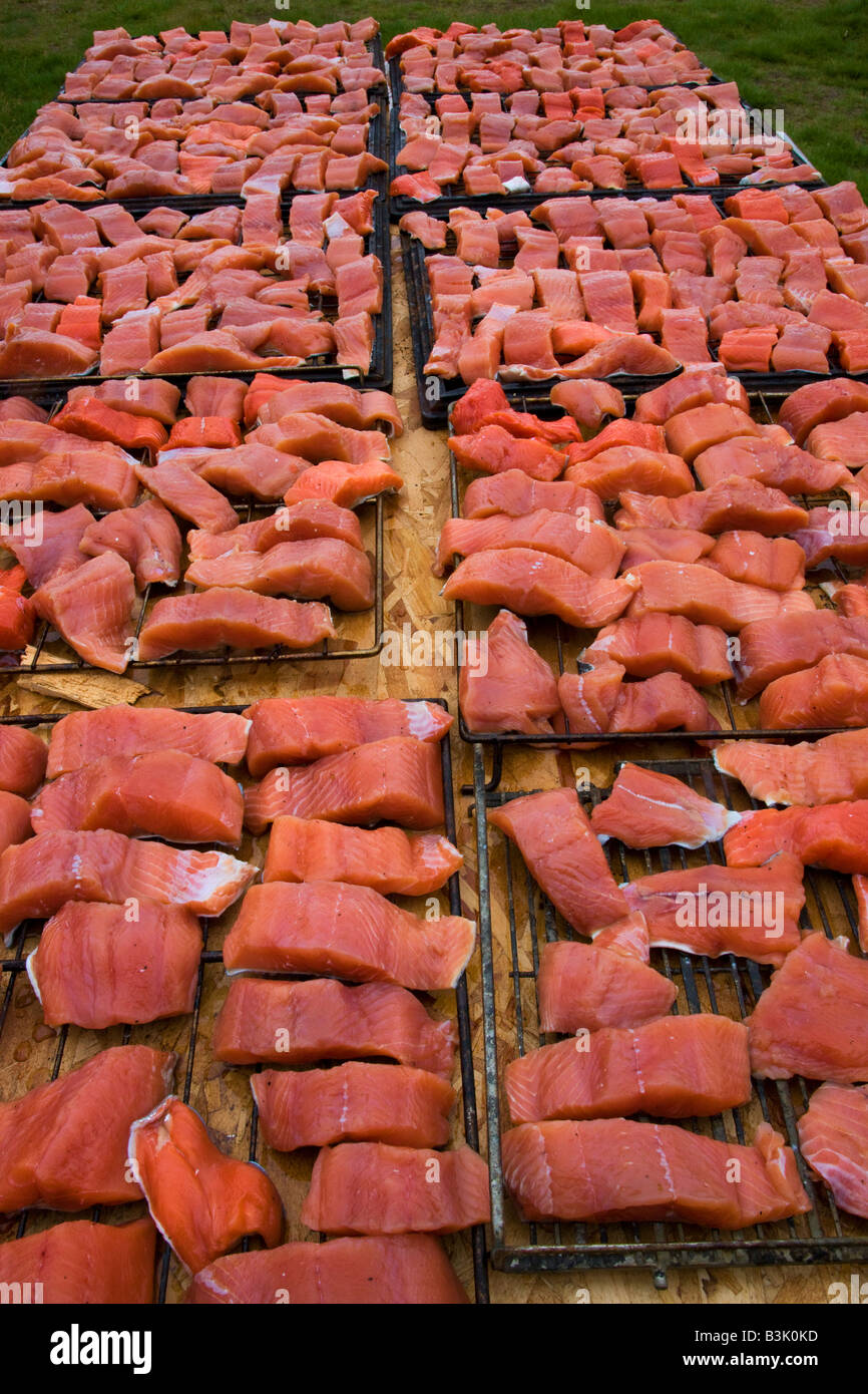 Salmon being prepared to be smoked Lake Clark National Park Alaska Stock Photo