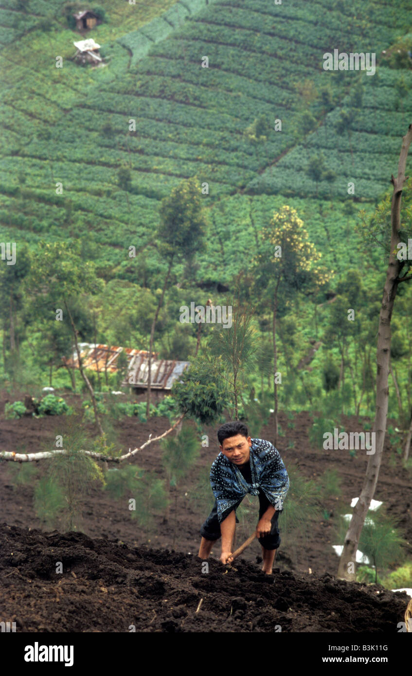 tenggerese farmer near mount bromo java indonesia Stock Photo