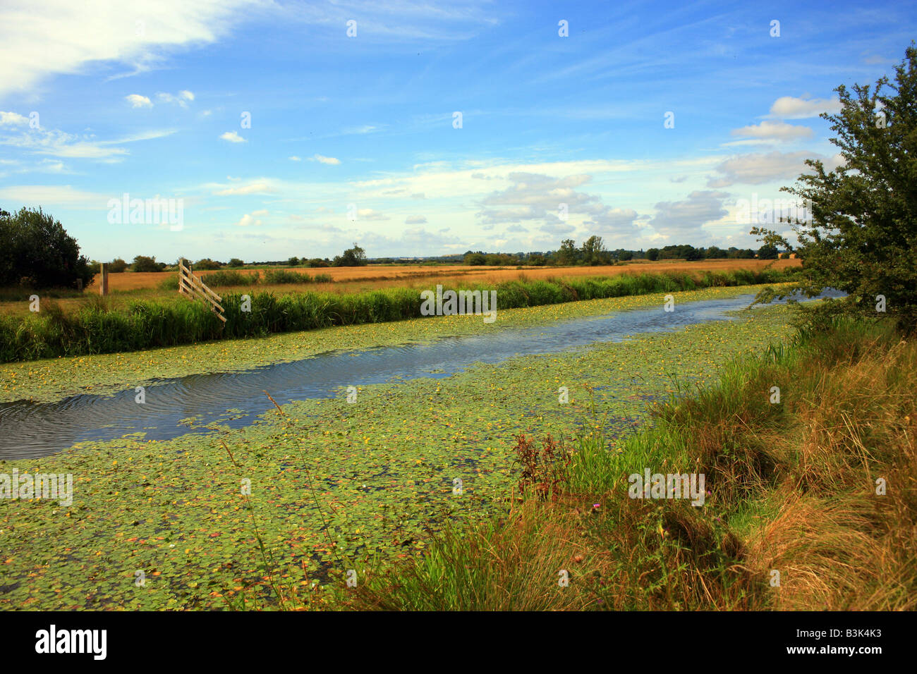 Royal Millitary Canal, Appledore, Romney Marsh, Kent Stock Photo