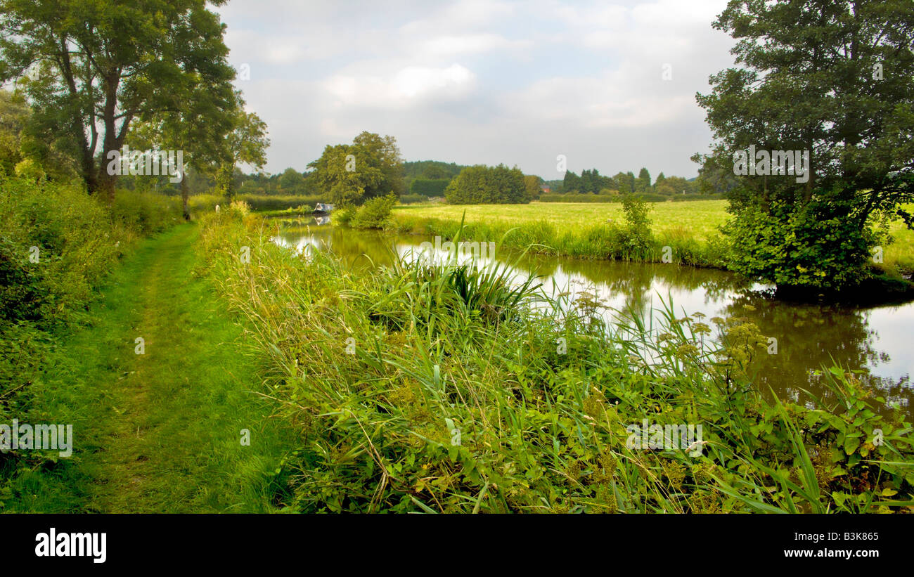 The banks of a river with bushes and trees Stock Photo - Alamy
