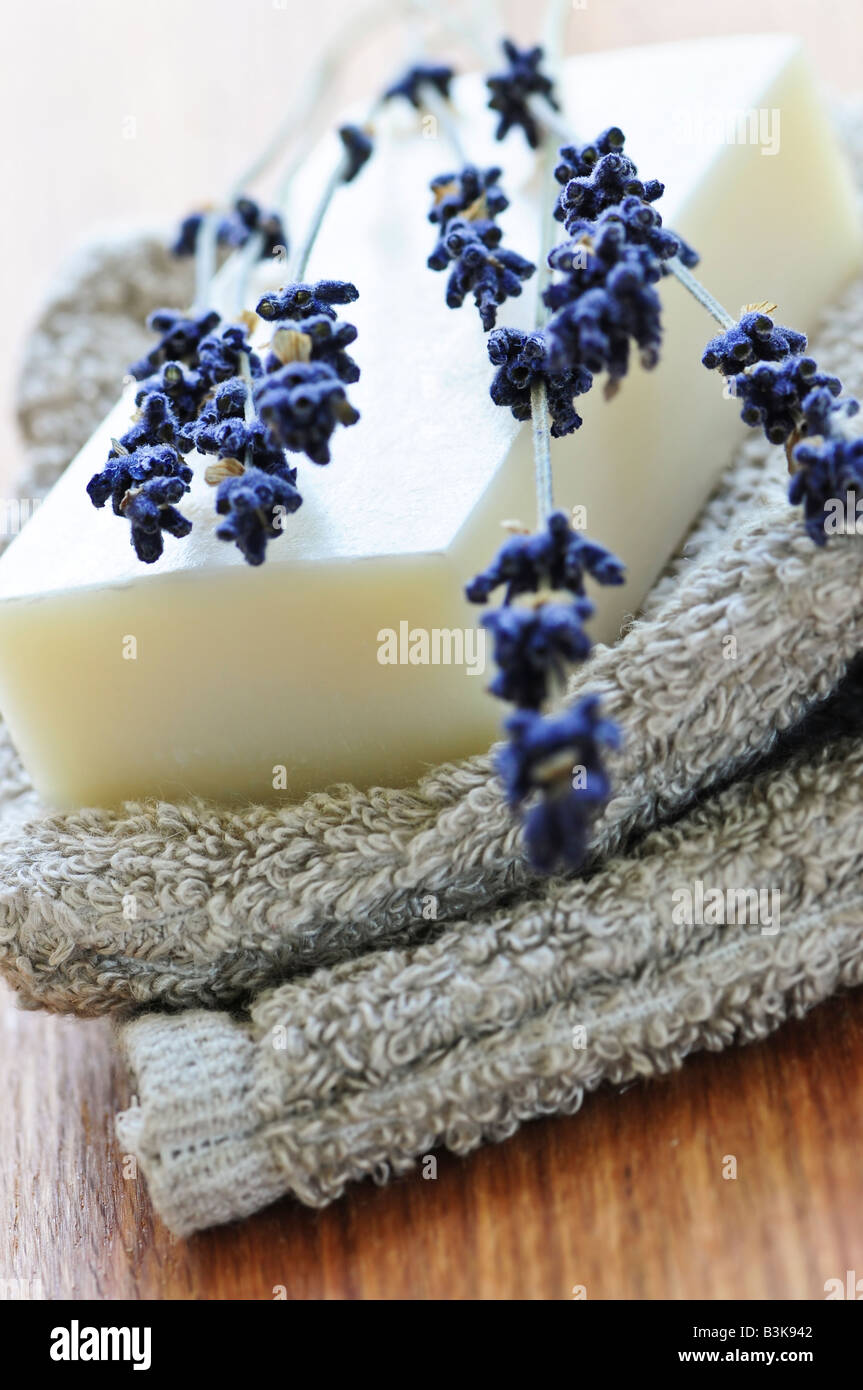 Bar of natural aromatherapy soap with dried lavender Stock Photo Alamy
