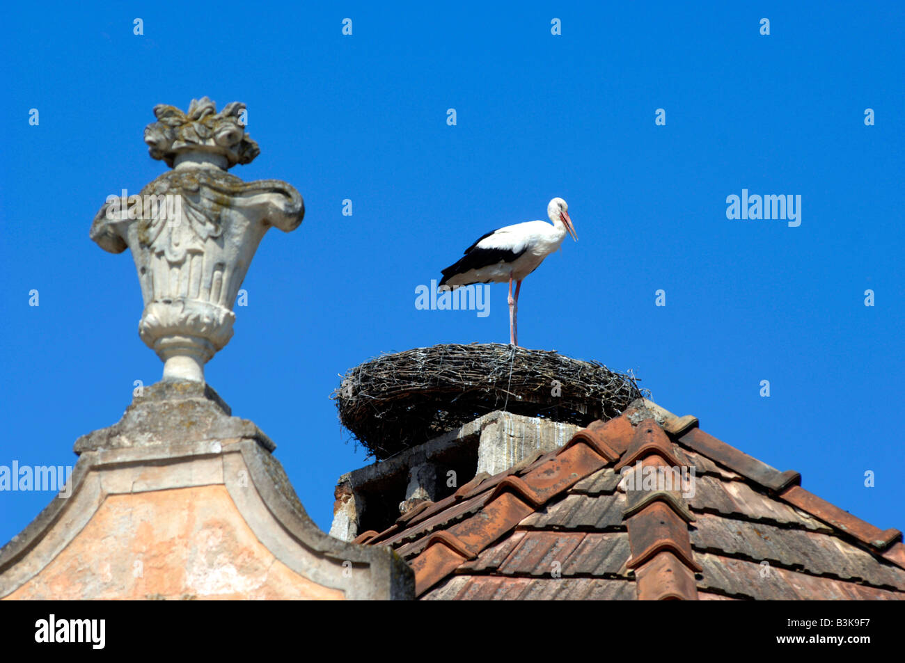 Nesting stork in the village of Rust Neusiedlersee, Austria Stock Photo