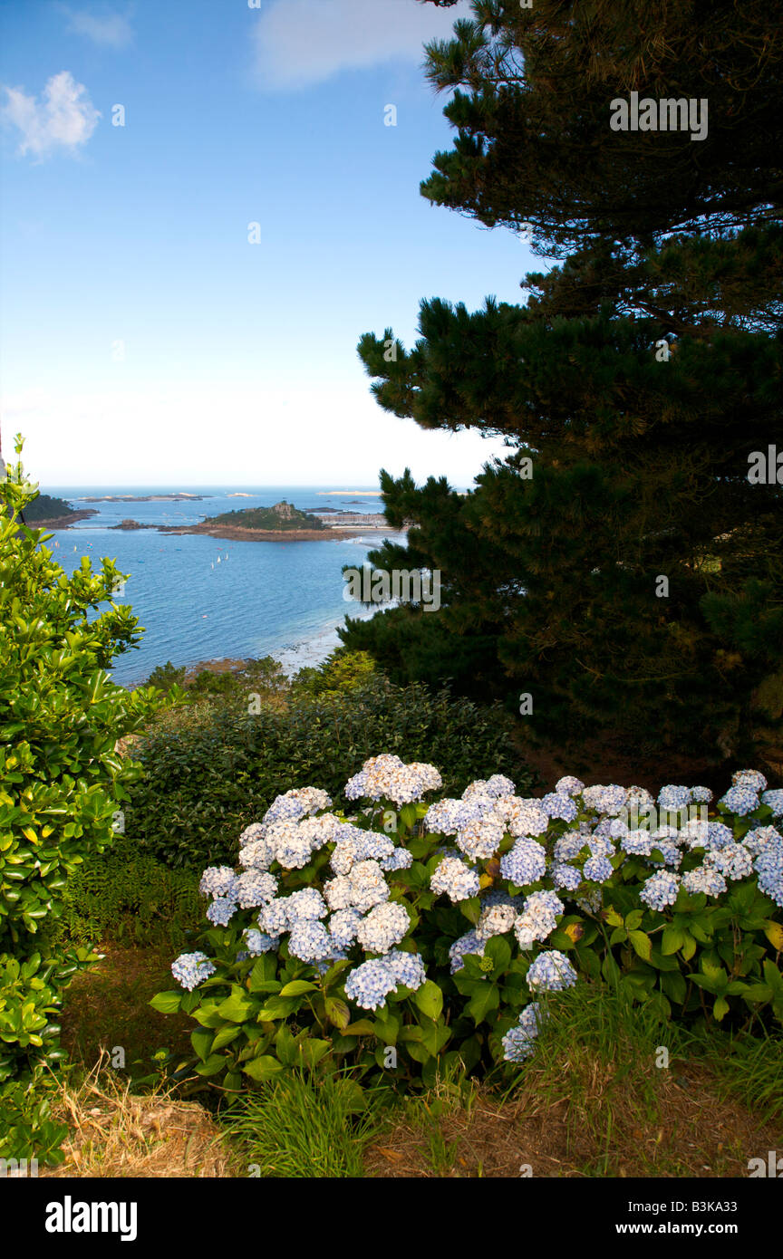 TREBEURDEN CASTLE ISLAND, CASTEL MANSION FROM THE POINT OF BIHIT COTES D ARMOR BRITTANY WITH HYDRANGEA PLANTS IN THE FOREGROUND Stock Photo