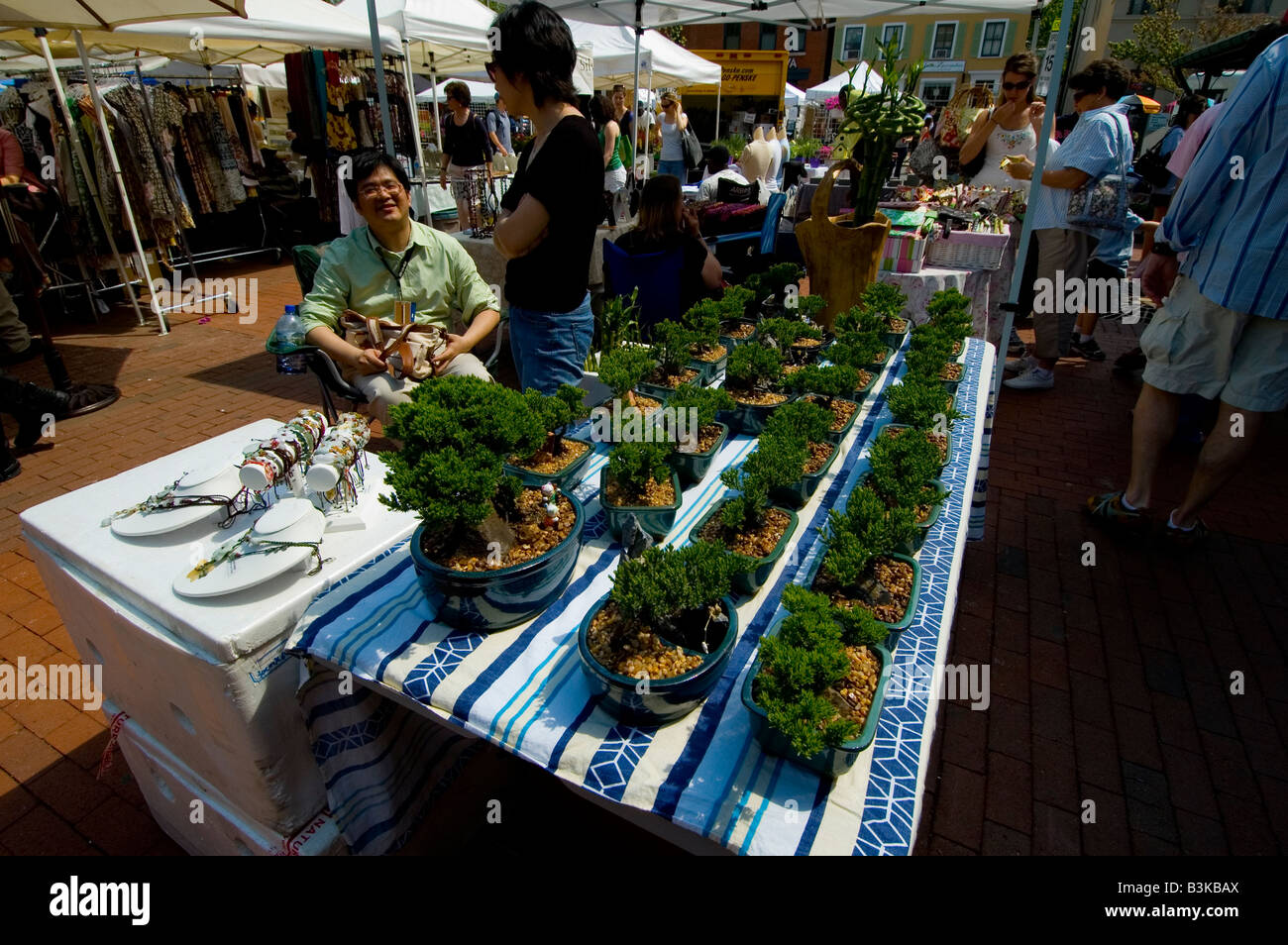Plants Bonsai Trees Asian Flea Market Eastern Farmer s Market Southeast