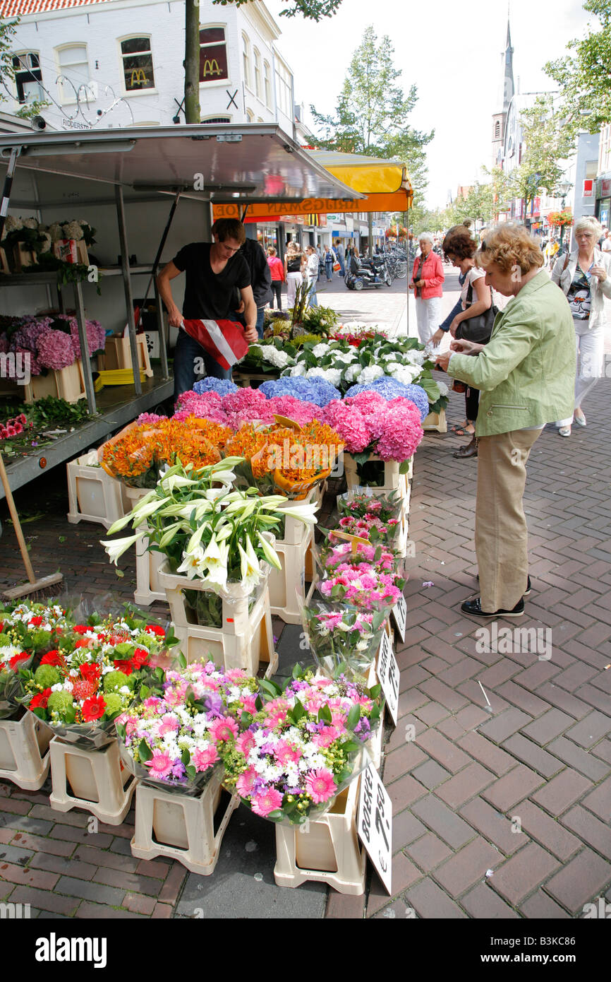 Flower market, Alkmaar, Netherlands, Holland Stock Photo Alamy