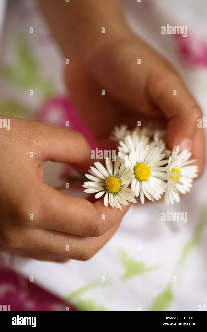 Five year old girl holds bunch of daisies Stock Photo