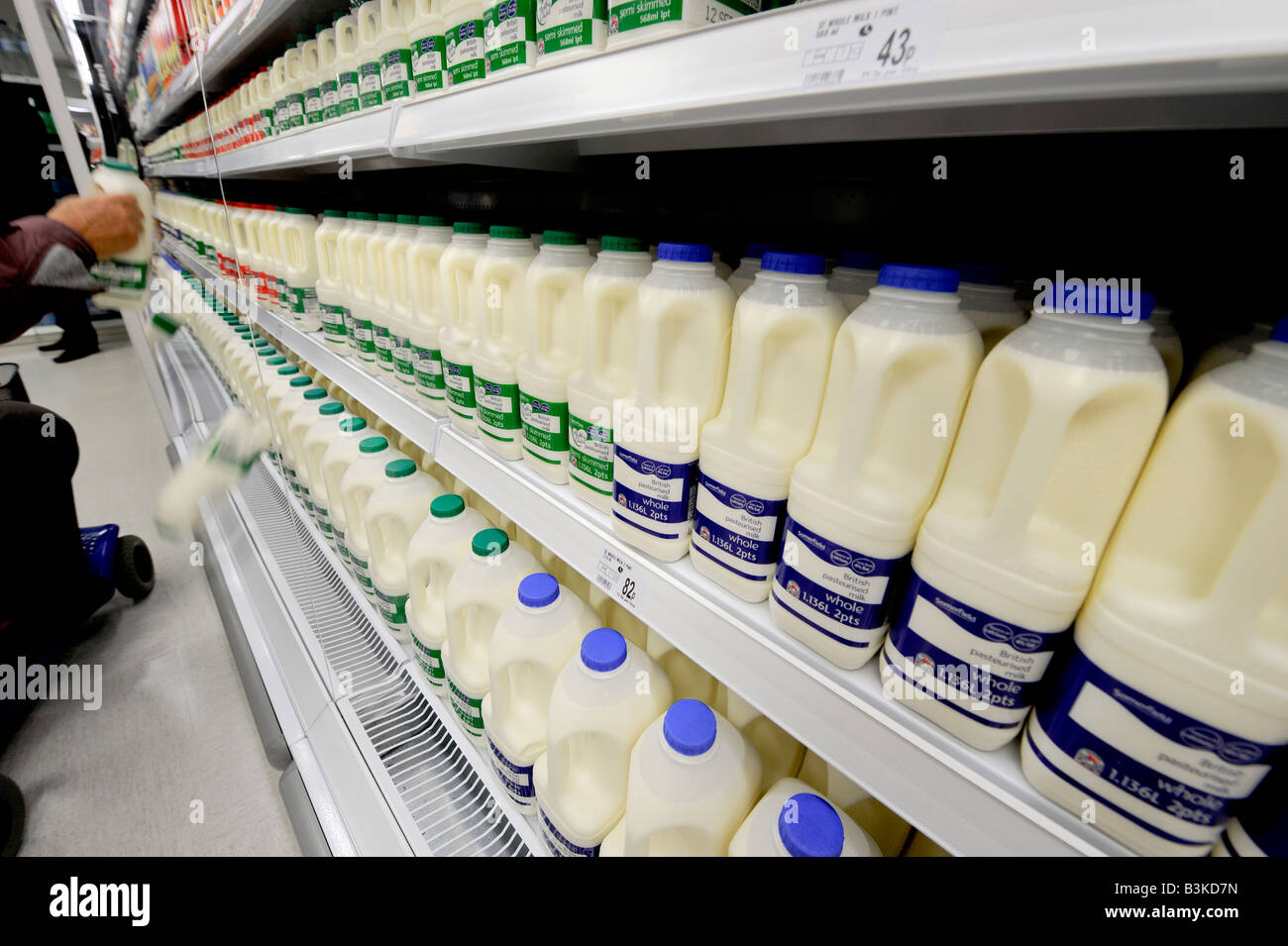 A packed chiller of milk on sale in Somerfield supermarket