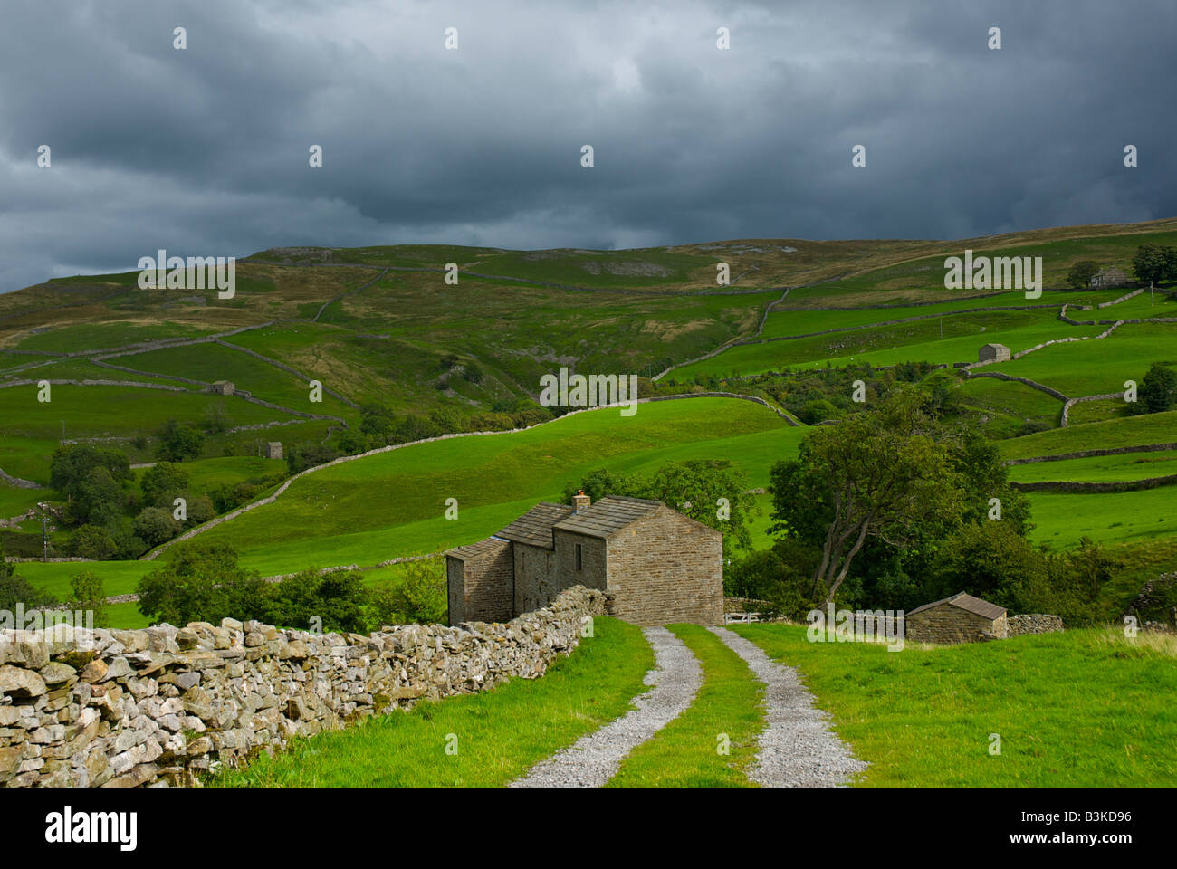 High Oxnop Farm, Oxnop Gill, Swaledale, Yorkshire Dales National Park, England UK Stock Photo