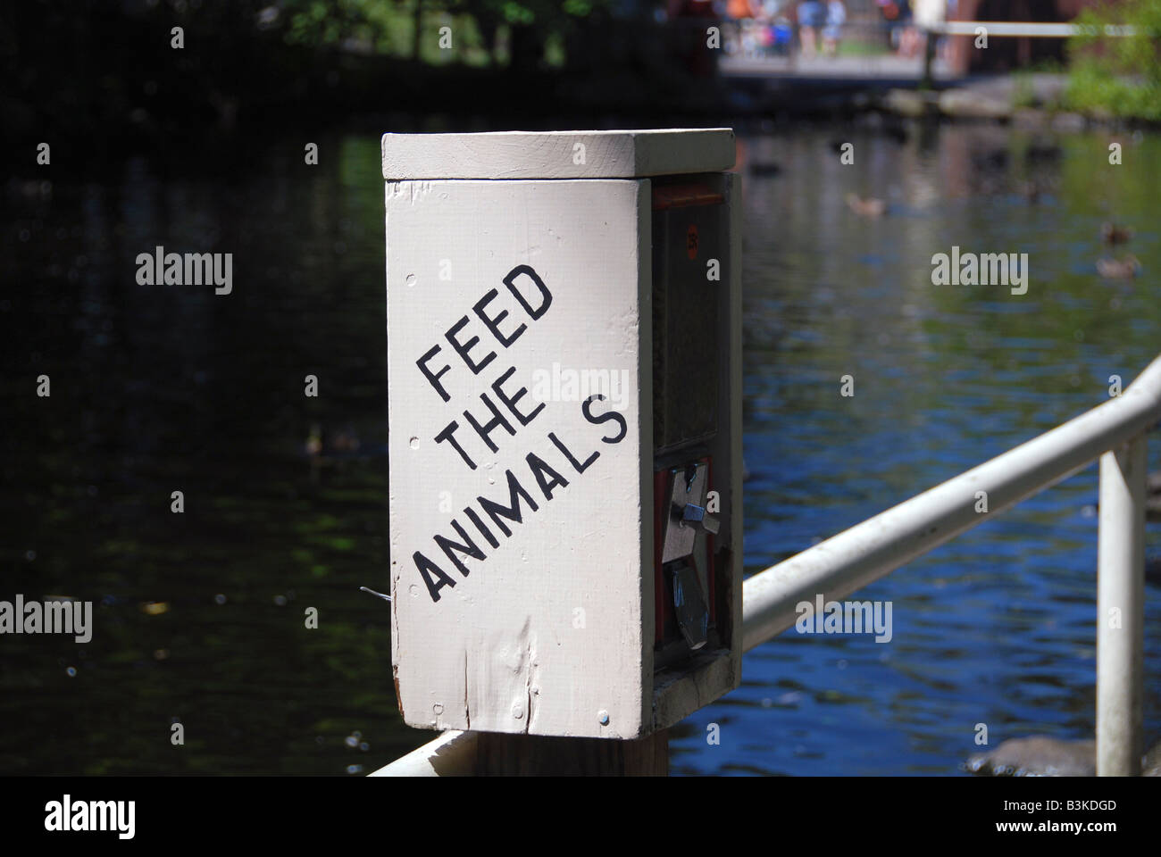 animal feeder at zoo Stock Photo Alamy
