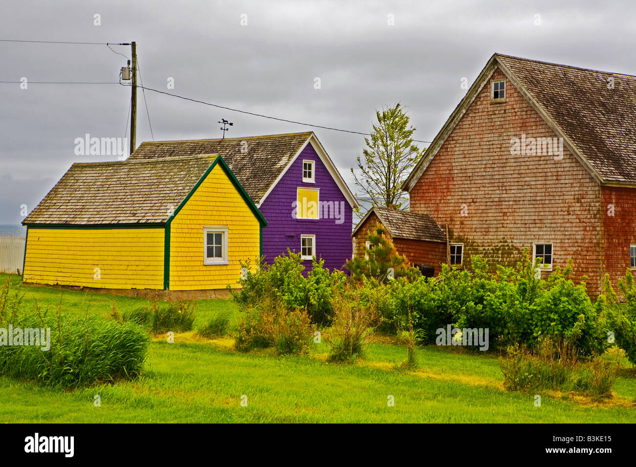 Coloured photographs hires stock photography and images Alamy