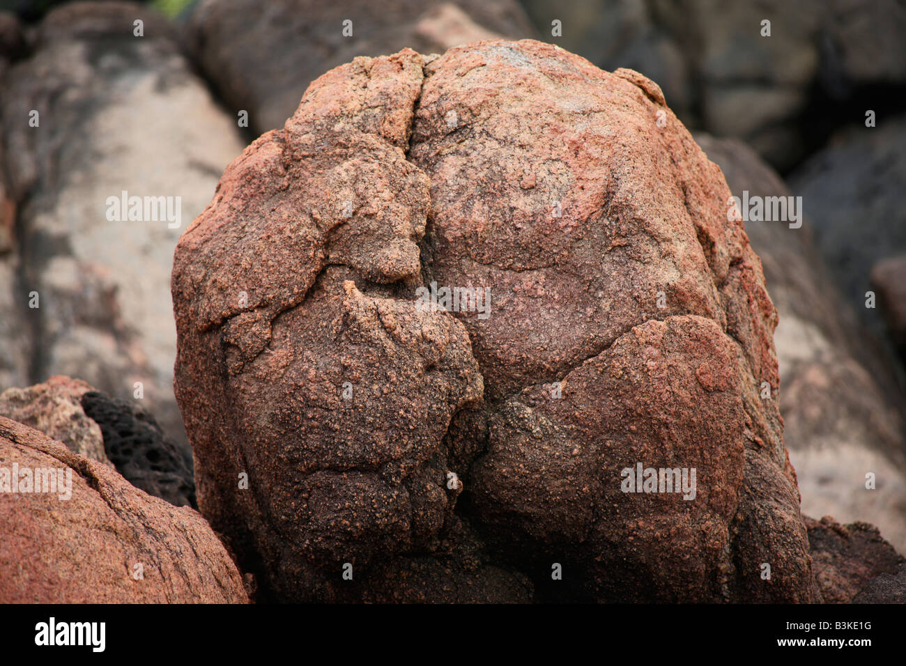 India Coloured Rocks Red rocks at Kovalam beach,Kerala,India Stock Photo - Alamy