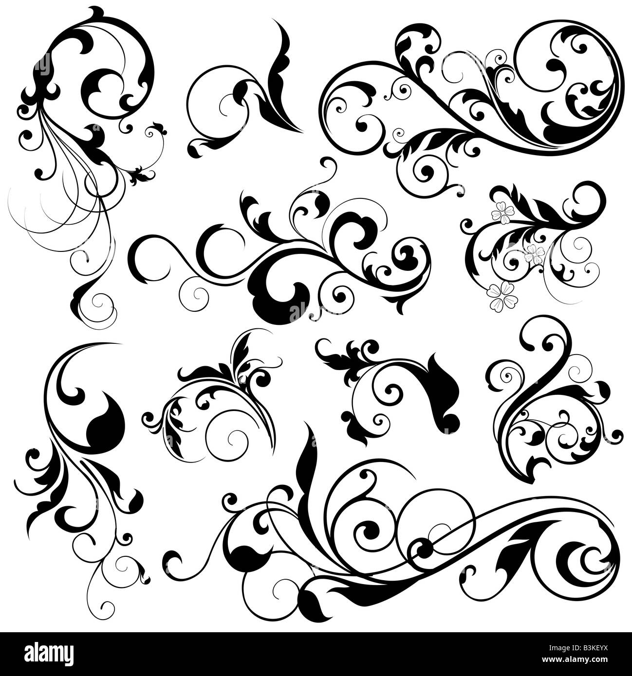 illustration drawing of floral design elements Stock Photo
