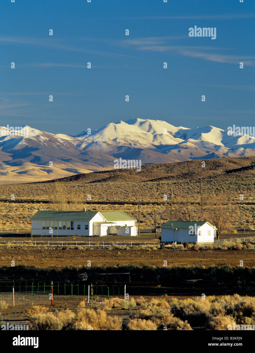 Fields School with Trout Creek Mountains Oregon Stock Photo Alamy