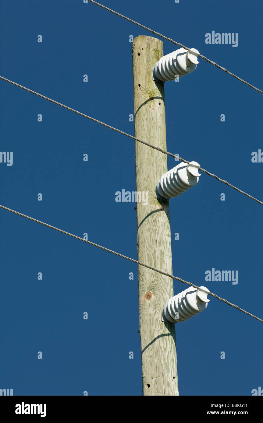 powerline porcelain insulators on utility pole Stock Photo Alamy